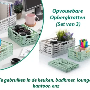 Opvouwbare Opbergkratten (Set van 3)
