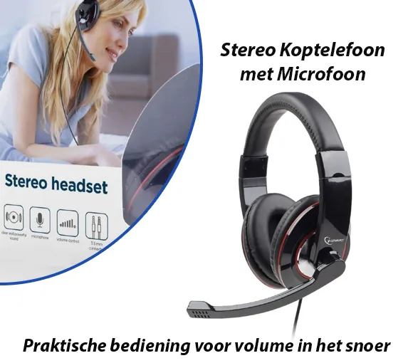 Stereo Koptelefoon met Microfoon Kleur Zwart