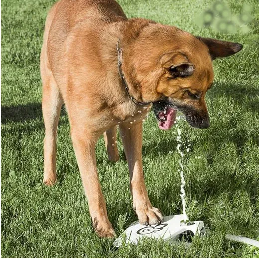 Pedaal Waterfontein voor Huisdieren - Afbeelding 4