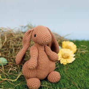 Haakpatroon – Theodoor de Haas