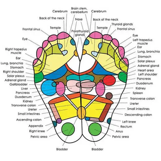 16-Stuks Groene Thee Aroma Detox Voetpleisters - Afbeelding 4