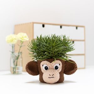 Bloempothoes apenkop