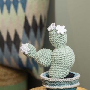 Gehaakte cactus