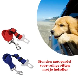 Honden autogordel voor veilige ritten met je huisdier