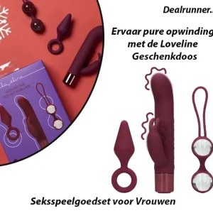 Herbruikbaar Seksspeelgoedset voor Vrouwen voor Veelzijdig Plezier