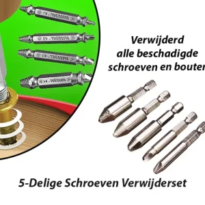 Schroefverwijderset 5-Delig