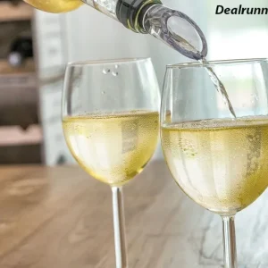 2-in-1 Wijnkoeler Met Beluchter