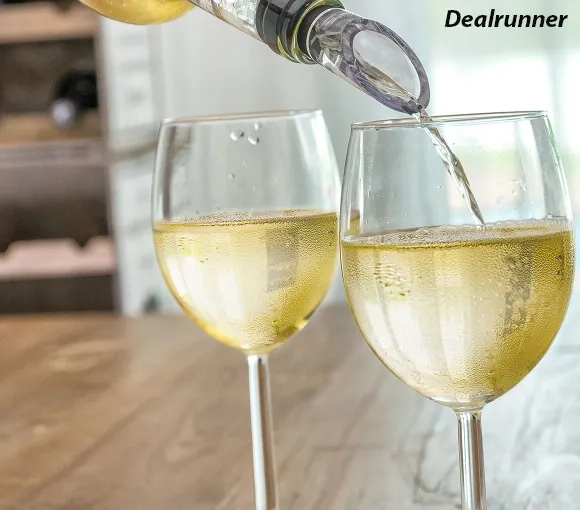 2-in-1 Wijnkoeler Met Beluchter